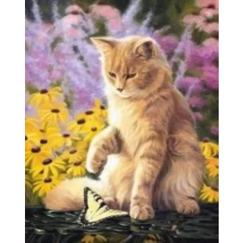 Zestaw kreatywny Norimpex malowanie po numerach - kotek z motylkiem 40X50cm (NO-1005677)