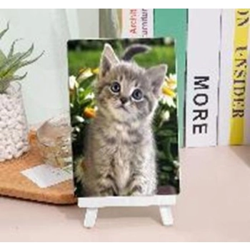 Zestaw kreatywny Norimpex Diamentowa mozaika kotek+ sztaluga 15x20cm (NO-1007264)