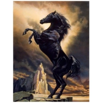 Zestaw kreatywny Norimpex Diamentowa mozaika koń fryz dębujący 40x30cm (NO-1006308)