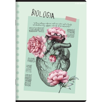 Zeszyt Top 2000 biologia mix A5 60k. 70g krata (400168958)