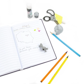 Zestaw szkolny Derform Kidea Koala (WSKKA)