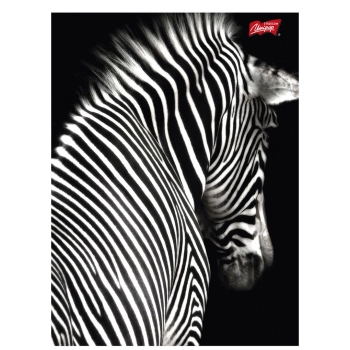 Zeszyt Unipap laminowane A5 60k. krata [mm:] 148x210