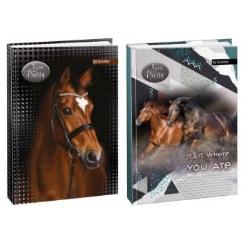 Brulion Beniamin Nice&Prety A5 96k. krata (6095699)