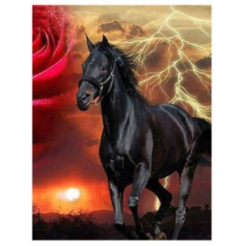 Zestaw kreatywny Norimpex Diamentowa mozaika czarny koń 40x30cm (NO-1007438)