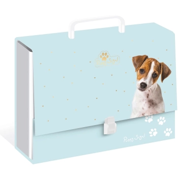 Teczka z szerokim grzbietem na zatrzask Interdruk C4 kolor: mix (TERAC4G)