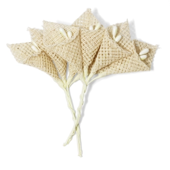 Kwiaty Galeria Papieru płócienne bukiecik kalia (252025)