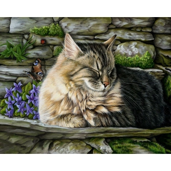 Zestaw kreatywny Norimpex malowanie po numerach - śpiący kocur (NO-1005684)