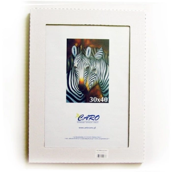 Antyrama Raw-West plexi [mm:] 300x400