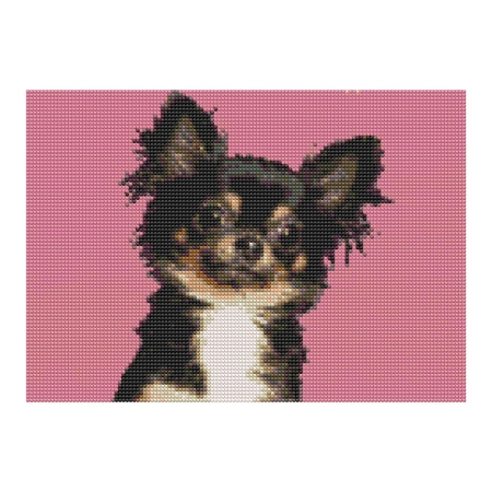 Zestaw kreatywny Diamentowa mozaika 30x40cm Chihuahua czarny Flamingo Line (1(13))
