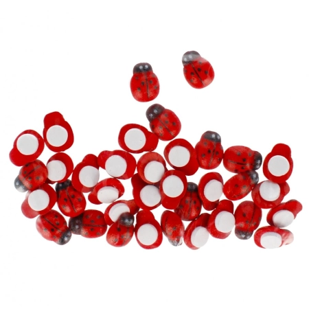 Ozdoba drewniana Biedronki Craft Fun (501440)