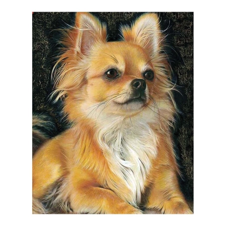 Zestaw kreatywny Diamentowa mozaika 30x40cm Chihuahua biszkoptowy Flamingo Line (1(5))