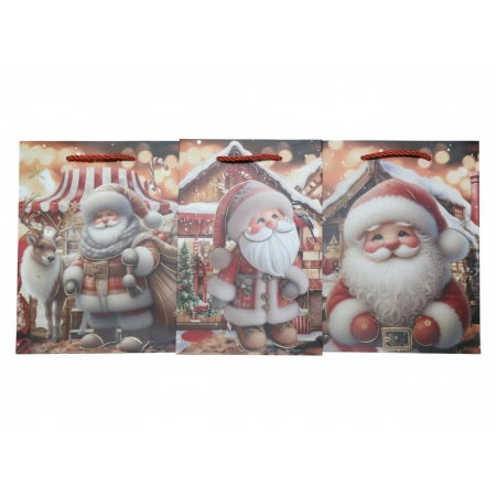 Torba prezentowa [mm:] 180x230x 100 Ju Piter (JP-820C)