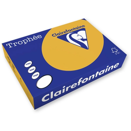 Papier kolorowy A4 kolorowy brązowy wielbłądzi 250k. 160g Trophee (xca41102)