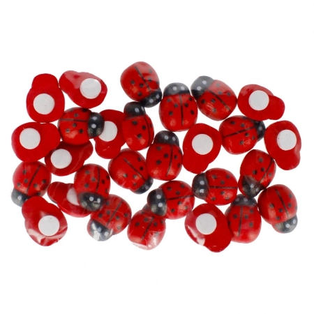 Ozdoba drewniana Biedronki Craft with Fun (501441)