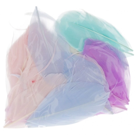 Piórka Pastel mix 50 szt Craft with Fun (501477)