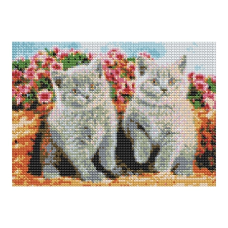 Zestaw kreatywny Diamentowa mozaika 30x40cm Koty brytyjskie Flamingo Line (1(90))