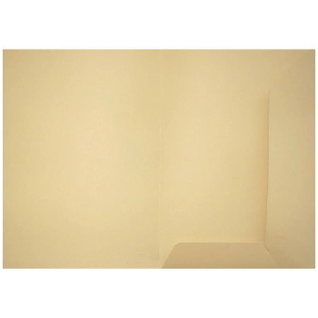 Teczka ofertowa ecru A4 kolor: ecri Bigo (1037)
